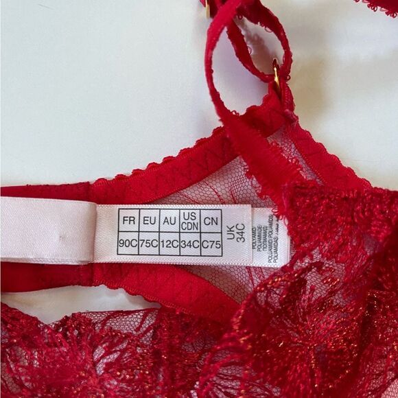 Agent Provocateur Jayce Plunge Underwired Bra Red NWOT 34C - Picture 4 of 11